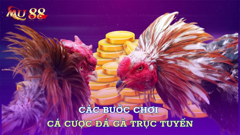 Các bước chơi cá cược đá gà trực tuyến