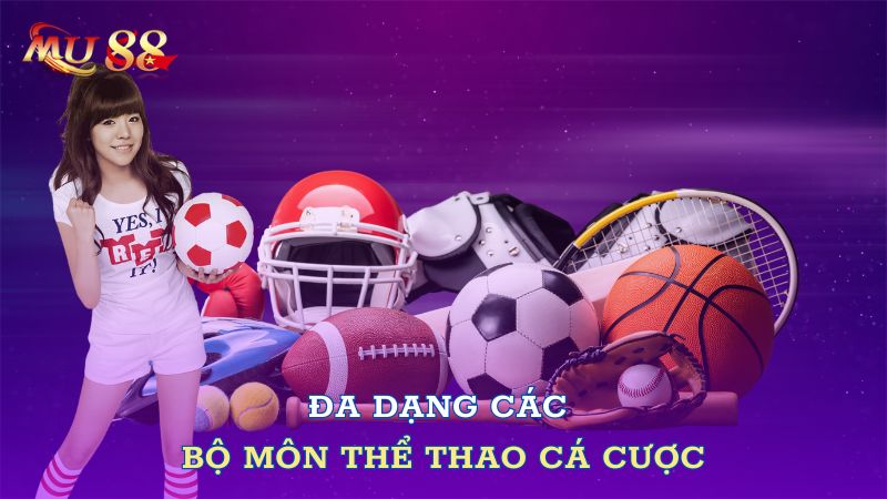 Đa dạng các bộ môn thể thao cá cược